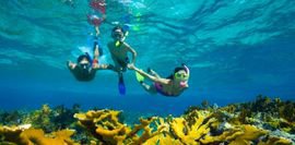 beaches-for-diving-and-snorkeling