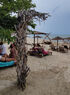 Papu plaža, Skala Rachoni, Thassos