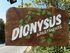 Dionysus Apartments, Ierissos, Athos
