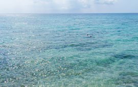 Bellos Apartments, Nea Skioni, Kassandra