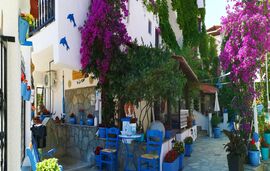 Niko Haus, Nea Potidea, Kassandra