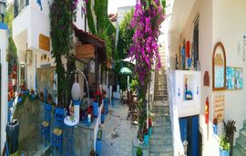 Niko Haus, Nea Potidea, Kassandra