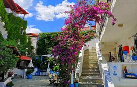 Niko Haus, Nea Potidea, Kassandra