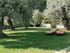 Askamnia Villa And Suites, Metamorfosi, Sithonia