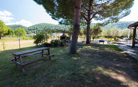 rena house vourvourou sithonia 4