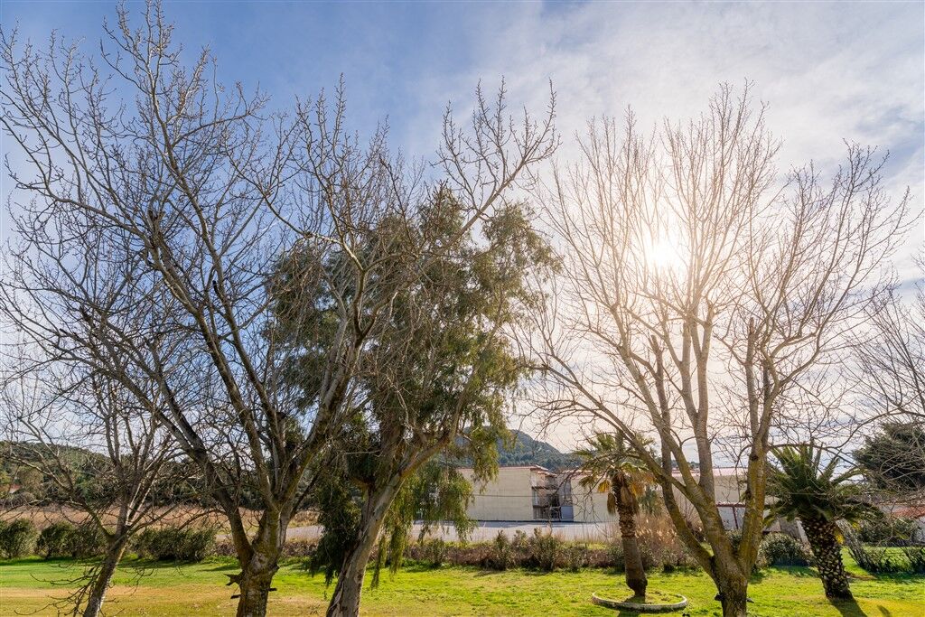 Chrissi Ammoudia Studios and Apartments, Toroni, Sithonia