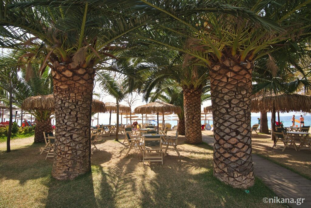 Pagona House, Toroni, Sithonia