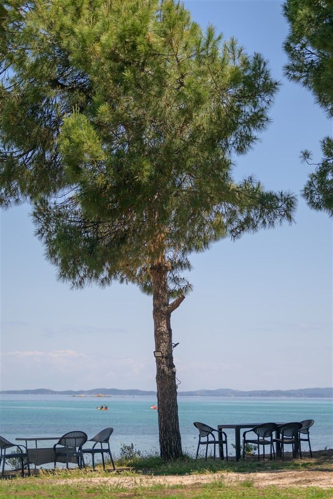 Efi Studios, Vourvourou, Sithonia