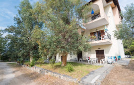 Αlexander Ηaus, Νikiti, Sithonia