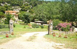 Αlexander Ηaus, Νikiti, Sithonia