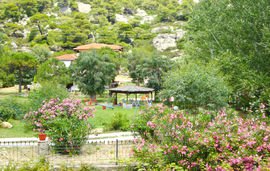 Αlexander Ηaus, Νikiti, Sithonia