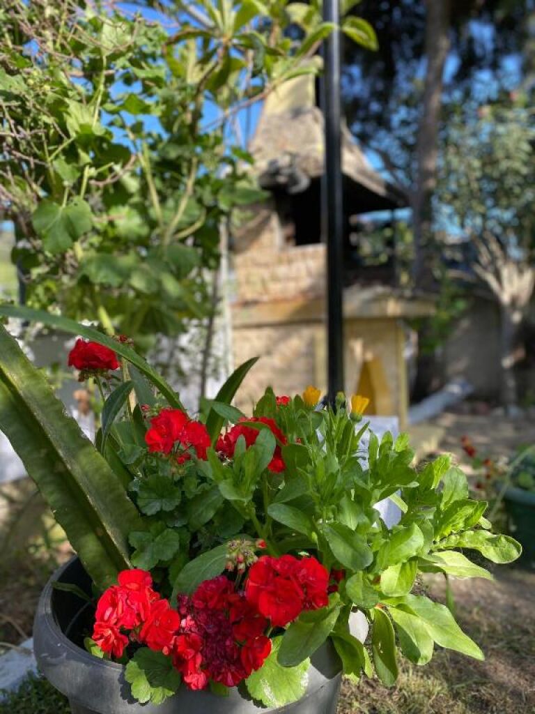 Fotini's Studios, Toroni, Sithonia