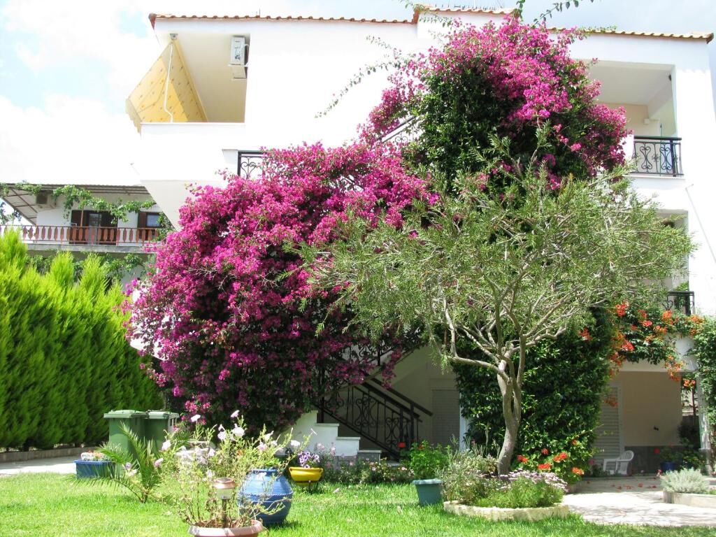 Fotini's Studios, Toroni, Sithonia