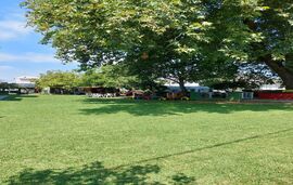 Filio Sonia Studios, Vourvourou, Sithonia