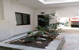 Thanasis Apartments, Nea Flogita, Kassandra