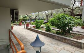 Thetis Hotel, Limenas, Thassos, Semi-based