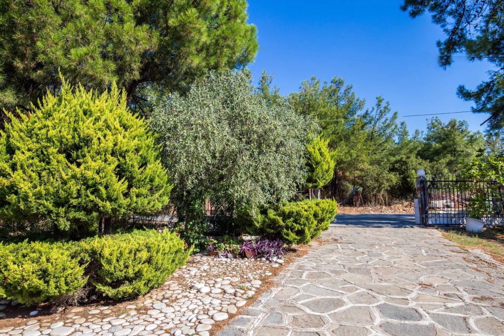 Litsa Studios, Pefkari, Thassos