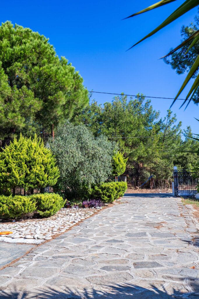 Litsa Studios, Pefkari, Thassos