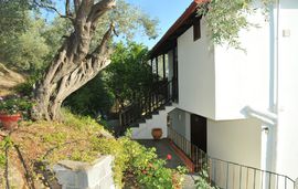 violeta house milina pelion 3