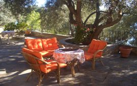 violeta house milina pelion 5