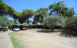 Elena's Studios, Vourvourou, Sithonia