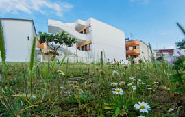 renas house sarti sithonia 2