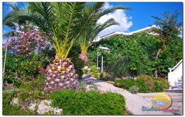 dialekti_studios_outside_toroni_sitonija__5_