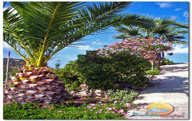 dialekti_studios_outside_toroni_sitonija__6_