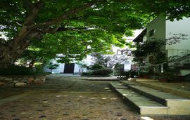 chrissoula rooms metamorfosi sithonia 13