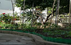 chrissoula rooms metamorfosi sithonia 14