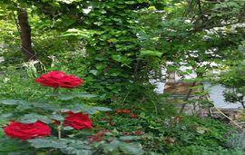 chrissoula rooms metamorfosi sithonia 5