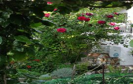 chrissoula rooms metamorfosi sithonia 6