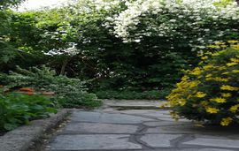 chrissoula rooms metamorfosi sithonia 8