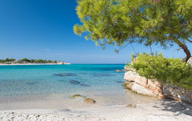 platanitsi beach sithonia 7