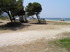 vlachogiannis hotel dasilio 39 beach