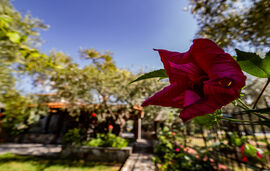 Ta 4 Adelfia Rooms, Skala Rachoni, Thassos