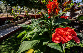 Ta 4 Adelfia Rooms, Skala Rachoni, Thassos