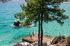 golden beach gulf ideal for vacation with children thassos  (20) 