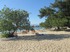 Beaches with natural shade  dasilio3