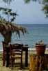 Why choose west coast of Thassos? 4