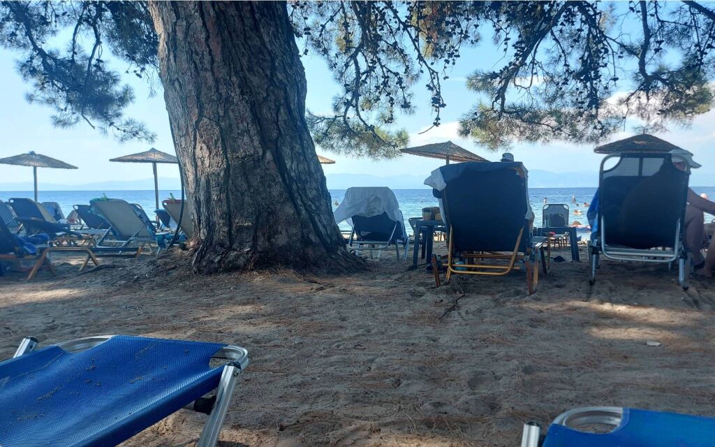 Tasos   mapa više od 40 plaža sa opisima i navigacijom