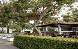 Kazaviti Hotel, Skala Prinos, Thassos