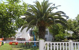 Kazaviti Hotel, Skala Prinos, Thassos