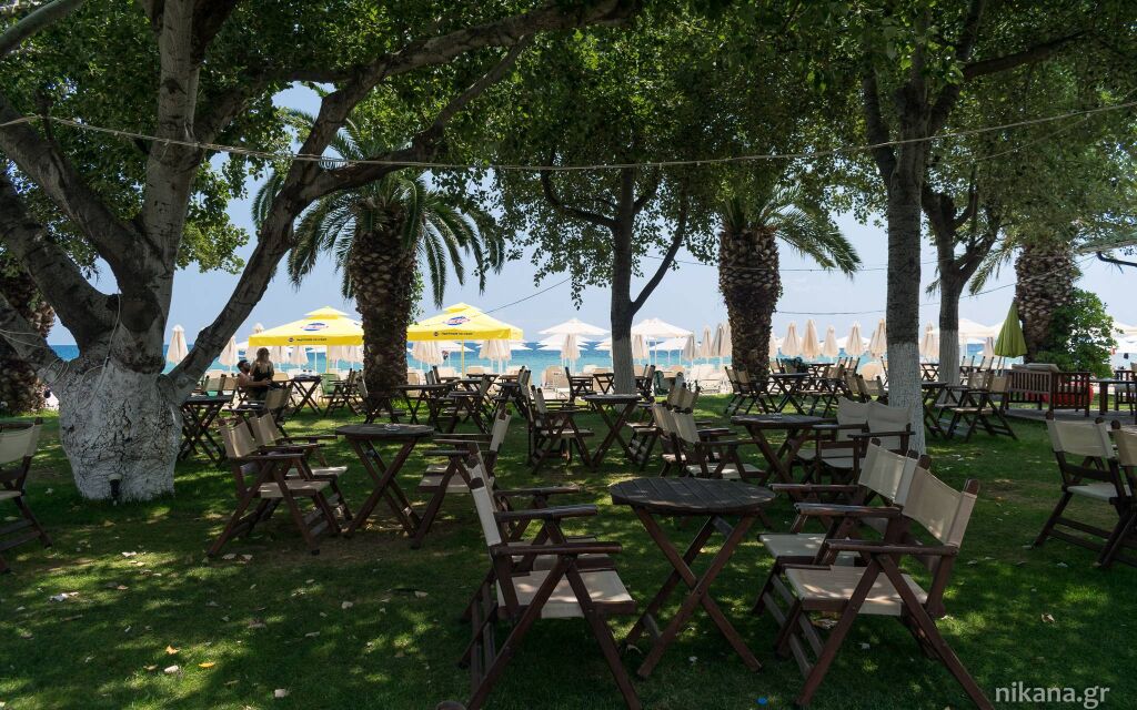 Nea Flogita i Nea Plagija, Nea Flogita, Kassandra