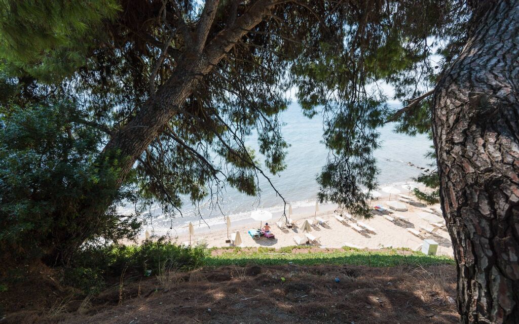 Metamorfosi, Metamorfosi, Sithonia kombinacija četinara i mora