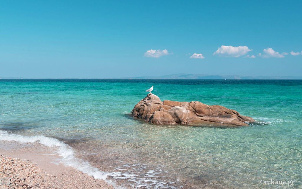 Fava plaža, Vourvourou, Sithonia