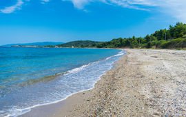 Schinia beach sithonia