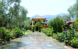 maria hotel golden beach thassos  (1) 