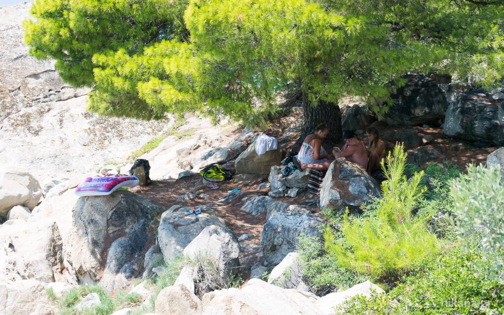 Koviou plaža, Nikiti, Sithonia prirodni hlad