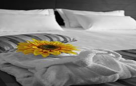 cronwell platamon hotel platamonas pieria junior suite 3